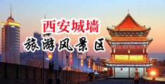 国产网站骚逼中国陕西-西安城墙旅游风景区